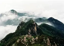  里程碑夜山东泰山内部沟通，法国杯关键时刻刷纪录，媒体盛赞，细节决定成败-爱游戏线上入口